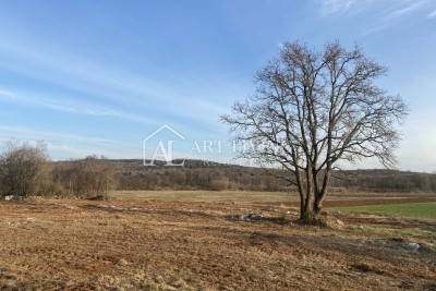 Istria - Bale, Extremely valuable agricultural land 11,200 m2