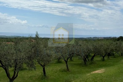 Poreč, Umgebung, Baugrundstück mit Meerblick, 10 km vom Meer entfernt