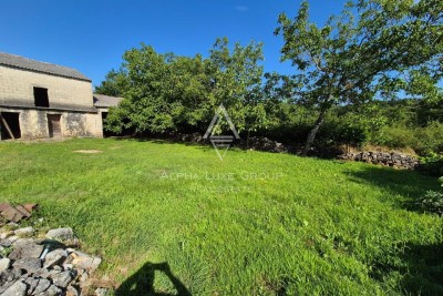 Istria, Canfanaro : Due terreni edificabili con edifici