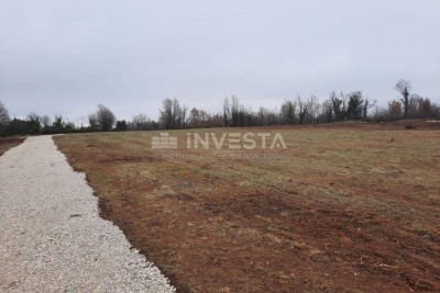 Terreno agricolo vicino al centro di Vodnjan
