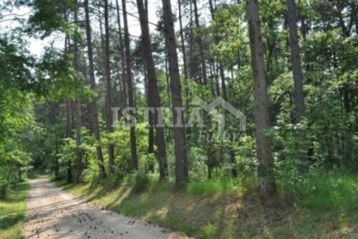 Pozemek Kaštelir-Labinci