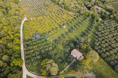 Jedinstveno imanje u blizini Poreča - 17000m2 građevinskog zemljišta s kamenom kućom i maslinikom!