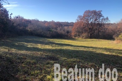 Građevinka parcela,Buje