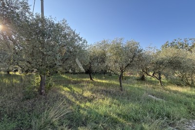 Terreno Vendita Plovanija 1058 m2