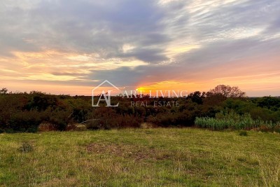 Umag-surroundings, agricultural land 1100m2 in an attractive location