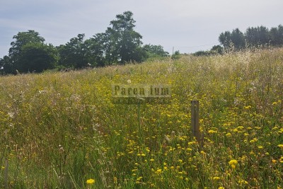 Building land in the country