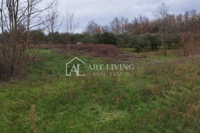 Istria, Barban - ampi terreni agricoli e forestali vicino a Barban