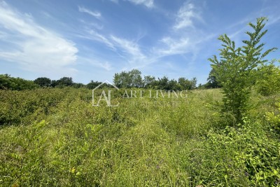 Brtonigla, okolica-poljoprivredno zemljište od 2200 m2, na mirnoj lokaciji
