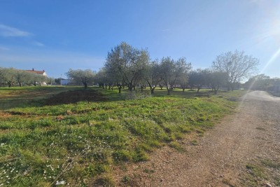POREČ, PRODAJA, GRAĐEVINSKO ZEMLJIŠTE, LIJEPO NASELJE, 4 KM OD MORA