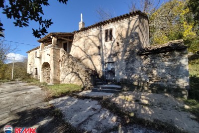 ISTRA, IMANJE SA 11200 M2 OKUĆNICE, SREDIŠNJA ISTRA