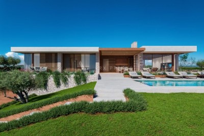 Beautiful villa in a unique location, Brtonigla