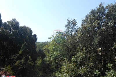 ISTRA, PERUŠKI, GRAĐEVINSKO ZEMLJIŠTE 680 M2