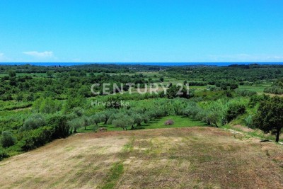 BUJE, OKOLICA, ATRAKTIVNO GRAĐEVINSKO ZEMLJIŠTE S POGLEDOM NA MORE