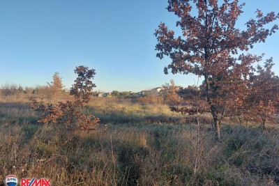 Building land Umag, 3.000m2