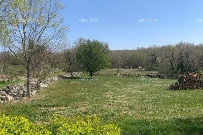 Građevinsko zemljište 785 m2 u okolici Višnjana – projekt za vilu s bazenom
