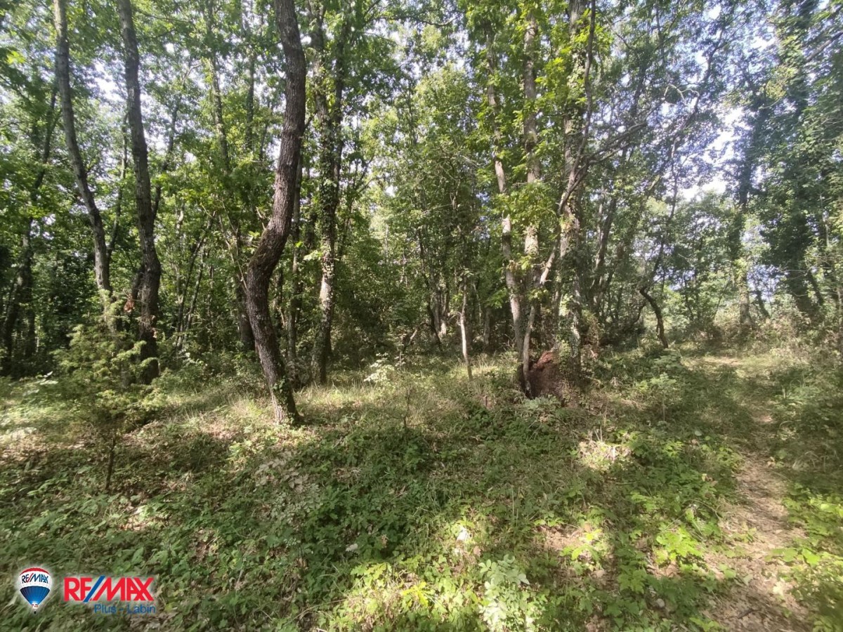 Ackerland Labin, 14.416m2