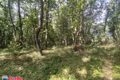 Ackerland Labin, 14.416m2