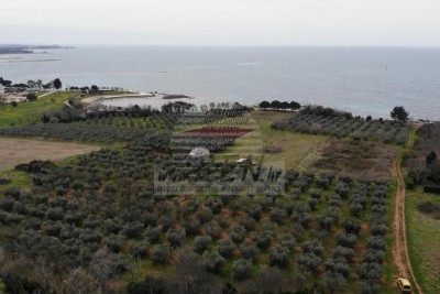 Construction land for touristic purposes near the sea