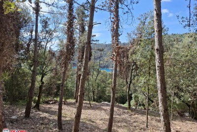 Farmland Duga Luka, Labin, 950m2