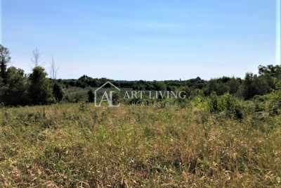 Novigrad-surroundings, building plot 3618 m2 with sea view