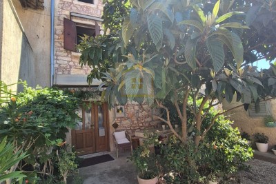 Stone House with Sea View! Tar-Vabriga