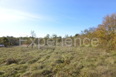Bačva, 6.118 m² Agricultural Land with Access Road