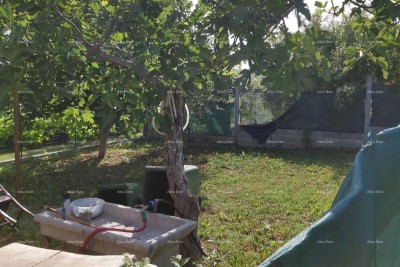 In vendita casa con cantina, grande terrazza, due appartamenti trilocali, giardino. Ottima opportunità di investimento!