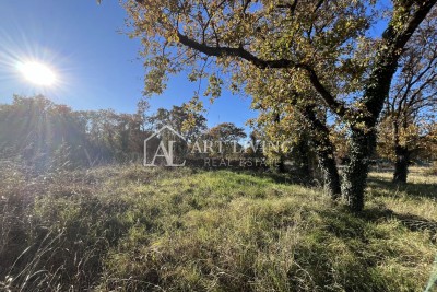 Istria, Umag, surroundings - attractive agricultural land in an excellent location