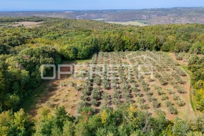 Terreno Visinada