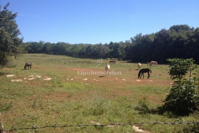 Atraktivno poljoprivredno zemljište