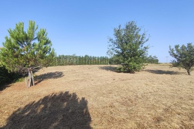 Pozemek Labin