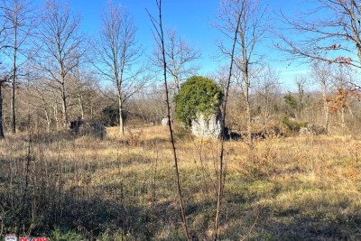 ISTRA, KRŠAN, ZEMLJIŠTE UGOSTITELJSKO TURISTIČKE NAMJENE