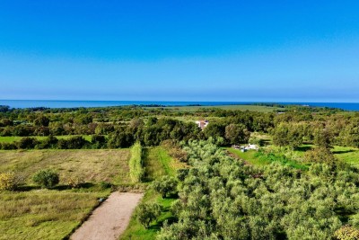 POREČ, OKOLICA 9 KM, ODLIČNO GRAĐEVINSKO ZEMLJIŠTE S POGLEDOM NA MORE