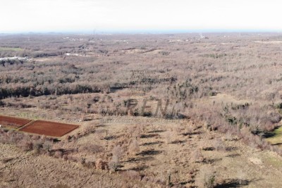 Large plot of land partly for tourist purposes with potential