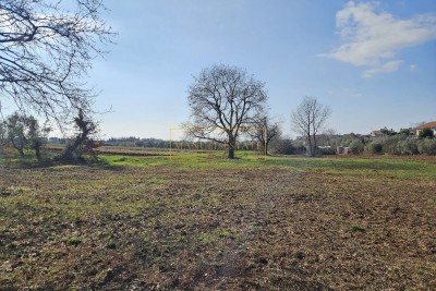 JEDINSTVENA PRILIKA! RIJETKOST NA TRŽIŠTU – GRAĐEVINSKO ZEMLJIŠTE 649 M², 2 KM OD CENTRA NOVIGRADA, ISTRA!