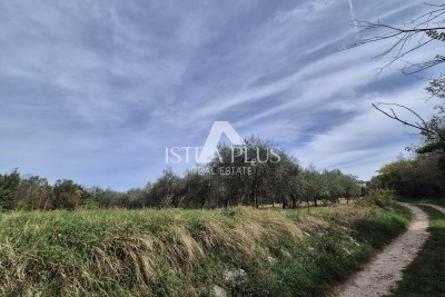 Istrien - Gebiet Poreč 13 km, Baugrundstück für den Bau eines Hauses oder eines Gebäudes mit 4 Wohnungen!!