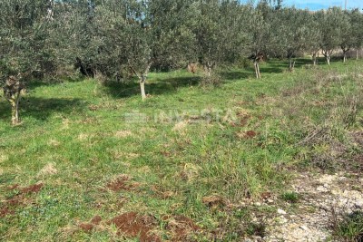 Terreno edificabile, posizione tranquilla per la vostra nuova casa