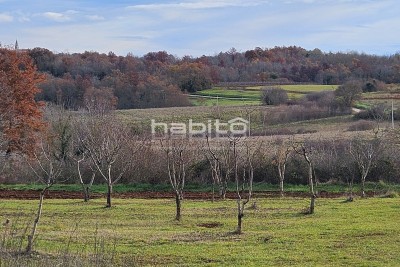 Porec 16 km, Vizinada surroundings - Construction and agricultural land, beautiful location and absolute peace