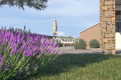 Istra, Buje - Villa s bazenom i pogledom NOVOGRADNJA - u izgradnji