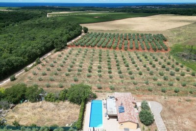 Lijepa kuća okružena prirodom i pogledom na more u Novigradu
