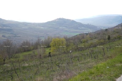 GRAĐEVINSKO ZEMLJIŠTE S PANORAMSKIM POGLEDOM NA MOTOVUN – 3.059 m²