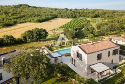 Vila z bazenom in wellnessom na mirni lokaciji