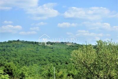 Brtonigla, attraktives Ackerland 31000 m2 mit freiem Blick