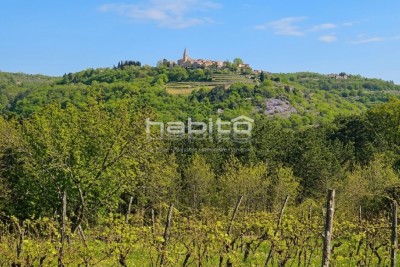 Grožnjan okolica - PRILIKA! Građevinsko zemljište s pogledom na Grožnjan, Motovun i vinograde