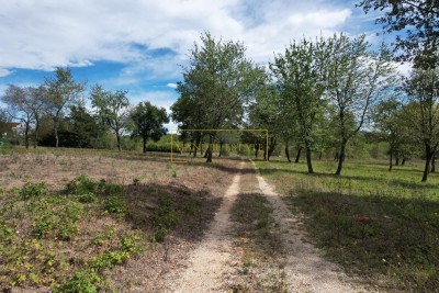 BUILDING LAND IN THE SURROUNDINGS OF POREČ, ISTRIA – WITH AGRICULTURAL AREA FOR A GARDEN IN A QUIET NEIGHBORHOOD!