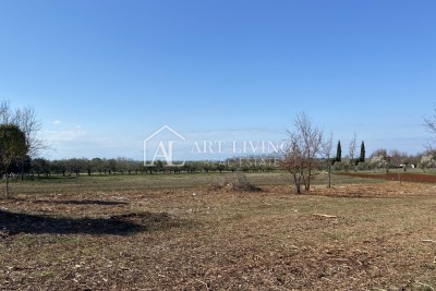 Brtonigla, okolica - prostrano poljoprivredno zemljište, 3000 m2