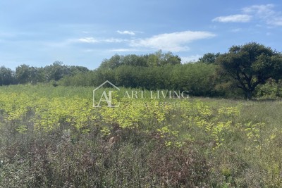 Umag, surroundings - agricultural land in a quiet location, 3700 m2