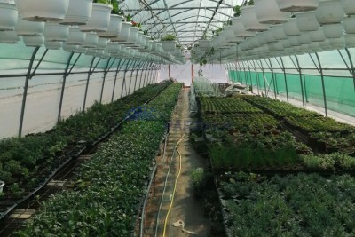 Istria, Poreč, fenced agricultural land