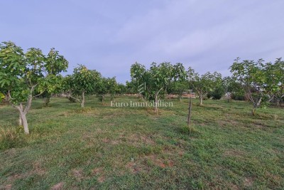 Gradbeno zemljišče blizu Rakalja