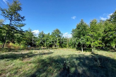 In the vicinity of Višnjan - building land, surface of 1.813 m²